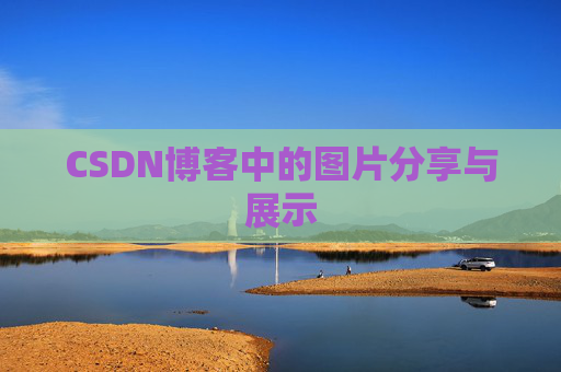 CSDN博客中的图片分享与展示